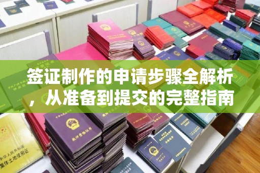 六横签证制作的申请步骤全解析，从准备到提交的完整指南