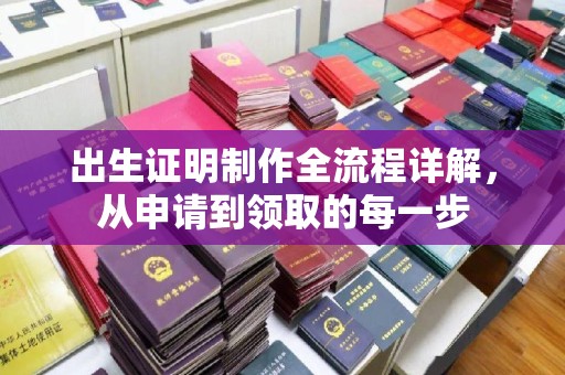 六横出生证明制作全流程详解，从申请到领取的每一步