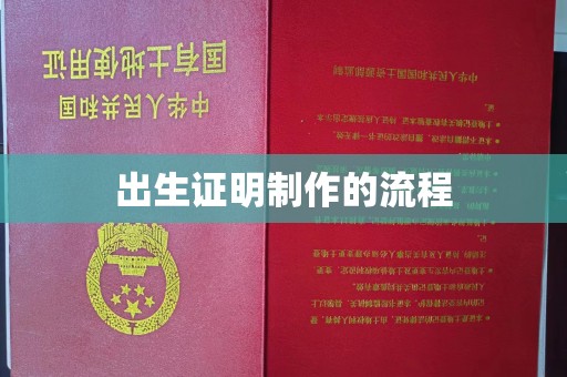 六横出生证明制作的流程