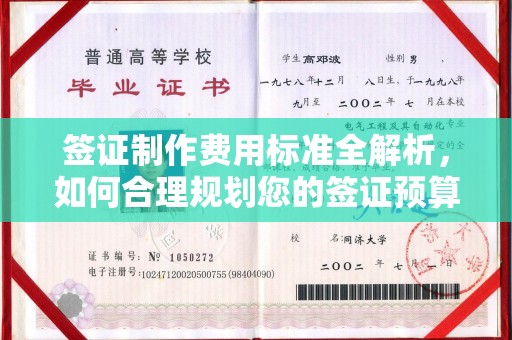 六横签证制作费用标准全解析，如何合理规划您的签证预算？